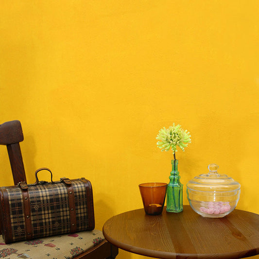 イマジンウォールペイント 15L フレンチ ヴィンテージカラーズ 【079】 Mimolette ミモレットチーズ