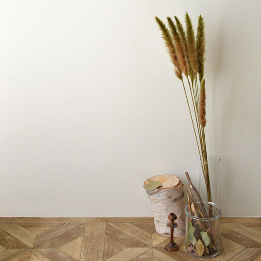 イマジンウォールペイント 4L ボタニカラーズ 【243】shirakaba シラカバ