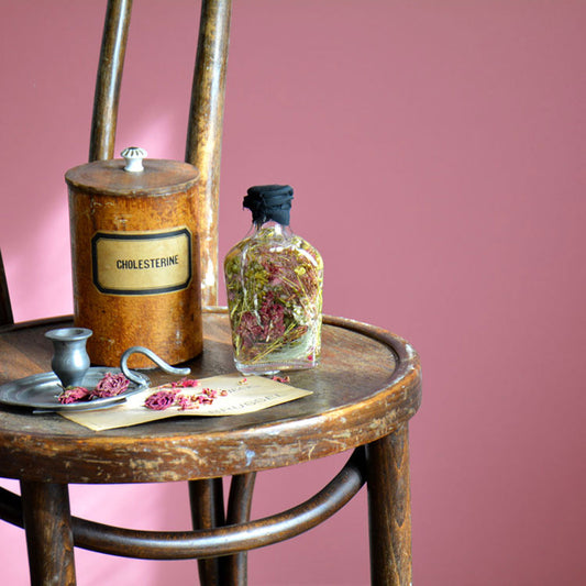 イマジンウォールペイント 15L ボタニカラーズ 【245】tangara タンガラ