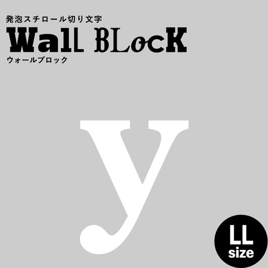 ウォールブロック LLサイズ / フォント12 y(小文字)