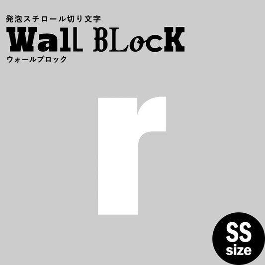 ウォールブロック SSサイズ / フォント9 r(小文字)