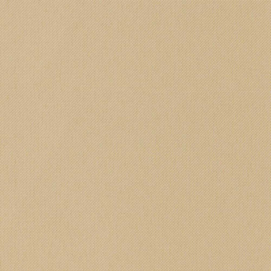 ロールスクリーン 採光タイプ ベージュ TR-1011