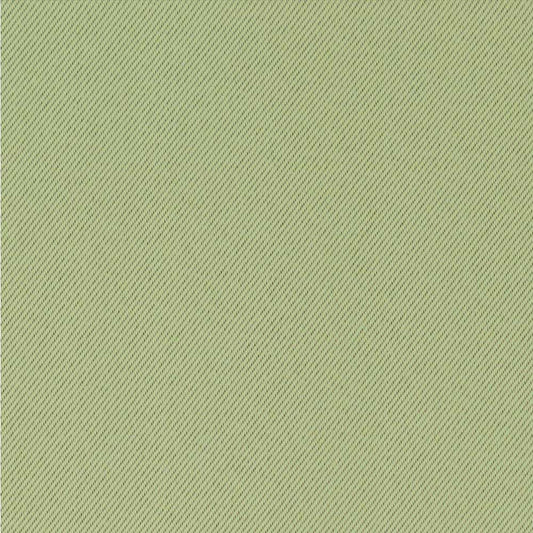 ロールスクリーン 遮光2級タイプ ネムログリーン TR-1110