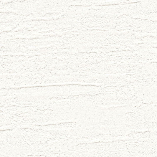 【サンプル】お買い得 国産壁紙 クロス / リリカラ / 白の塗り壁調 LB-9504