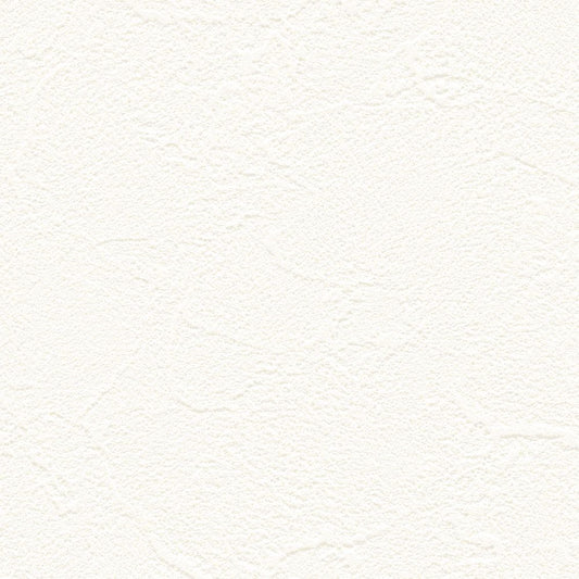 【サンプル】お買い得 国産壁紙 クロス / リリカラ / 白の塗り壁調 LB-9510