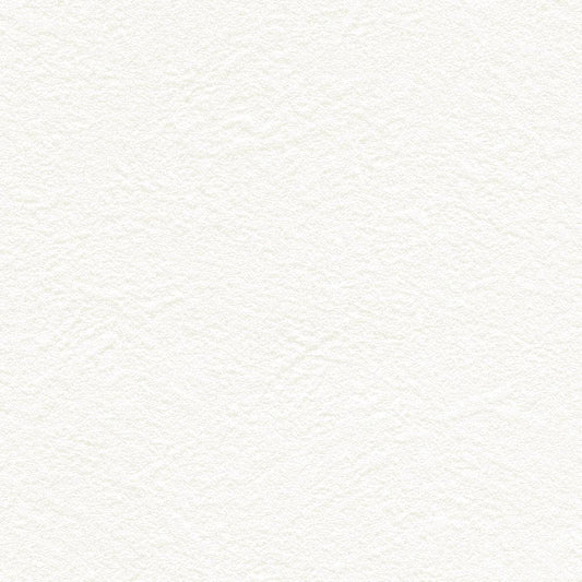 【サンプル】お買い得 国産壁紙 クロス / リリカラ / 白の塗り壁調 LB-9512