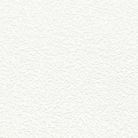 【サンプル】お買い得 国産壁紙 クロス / リリカラ / 白の吹き付け調 LB-9514