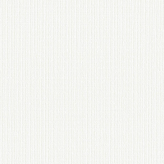 【サンプル】お買い得 国産壁紙 クロス / リリカラ / 白の織物調 LB-9529