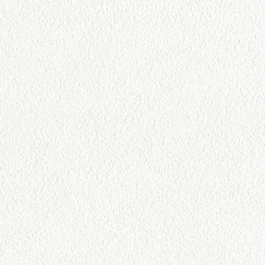 【サンプル】お買い得 国産壁紙 クロス / リリカラ / 白の吹き付け調 LB-9539