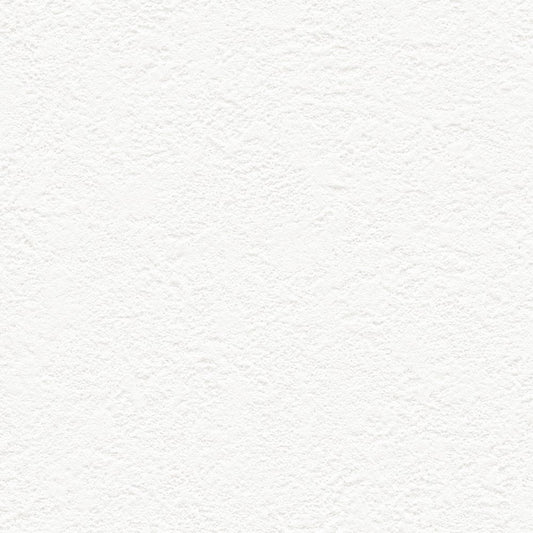 【サンプル】お買い得 国産壁紙 クロス / リリカラ / 白の塗り壁調 LB-9545