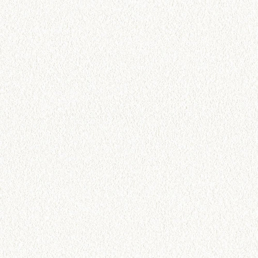 【サンプル】お買い得 国産壁紙 クロス / リリカラ / 白の吹き付け調 LB-9548