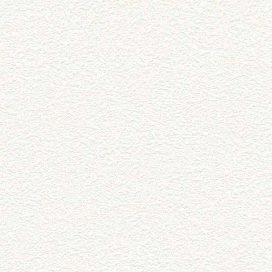 【サンプル】お買い得 国産壁紙 クロス / リリカラ / 白の吹き付け調 LB-9571