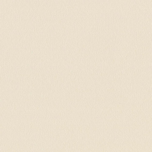 LL-6034 壁紙 のり付き クロス / リリカラ / ライト ベージュの無地【10m+施工道具セット】