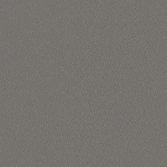 LL-6040 壁紙 のりなし クロス / リリカラ / ライト グレーの無地【50m巻】