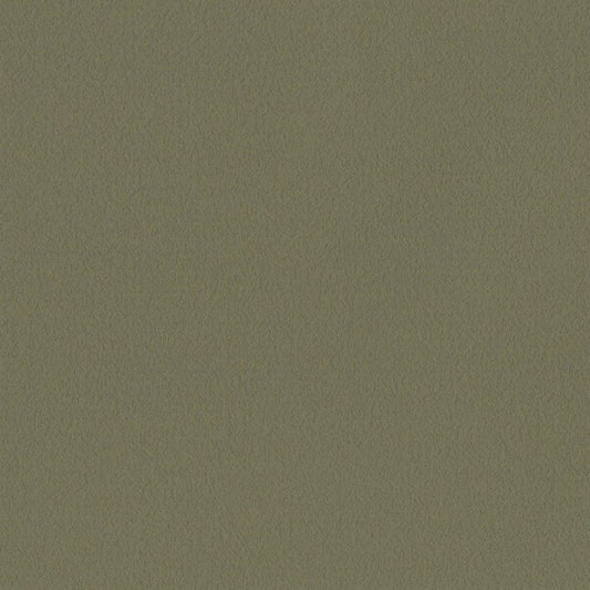 LL-6047 壁紙 のり付き クロス / リリカラ / ライト グリーンの無地【30m+施工道具セット】