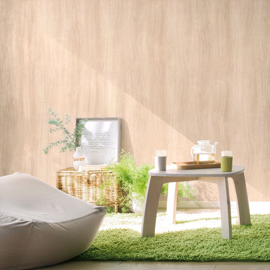 LL-6099 施工画像