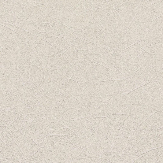 LL-6267 LV-2438 壁紙 のりなし クロス / リリカラ / ライト 和室におすすめ【サンプル】