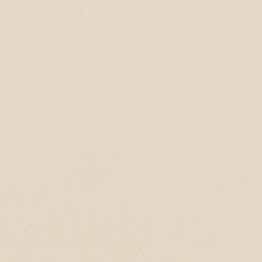 LL-6302 LV-2019 LW-95 壁紙 のりなし クロス / リリカラ / ライト ベージュの無地【サンプル】