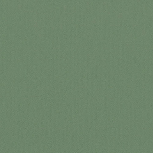 LL-6307 LV-2026 LW-102 壁紙 のりなし クロス / リリカラ / ライト グリーンの無地【サンプル】