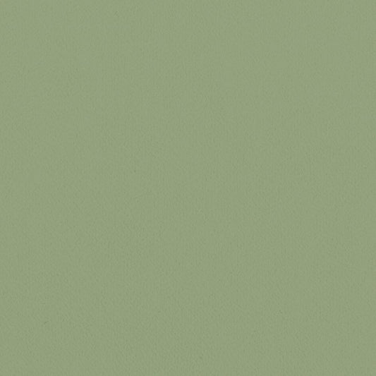 LL-6311 LV-2025 LW-101 壁紙 のり付き クロス / リリカラ / ライト グリーンの無地【15mパック】