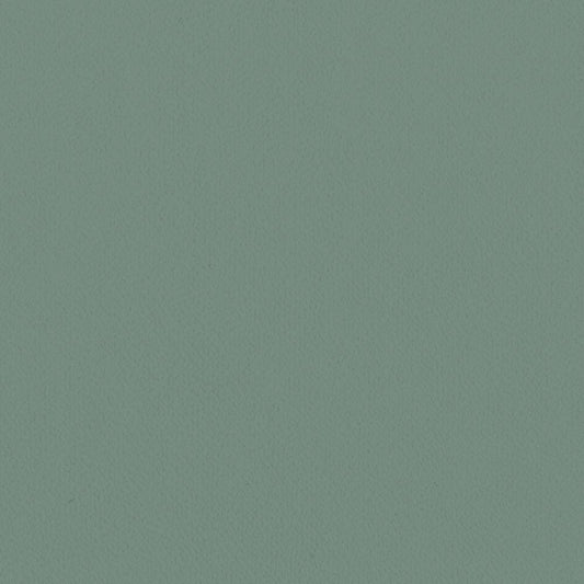 LL-6312 LV-2032 LW-108 壁紙 のりなし クロス / リリカラ / ライト グリーンの無地【サンプル】