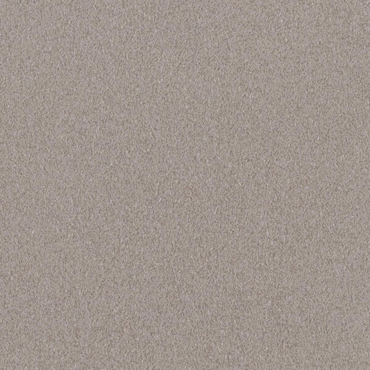 LL-6352 LW-31 壁紙 のりなし クロス / リリカラ / ライト グレーの無地【サンプル】