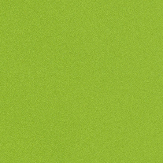 LL-6479 LW-591 壁紙 のり付き クロス / リリカラ / ライト グリーンの無地【10mパック】