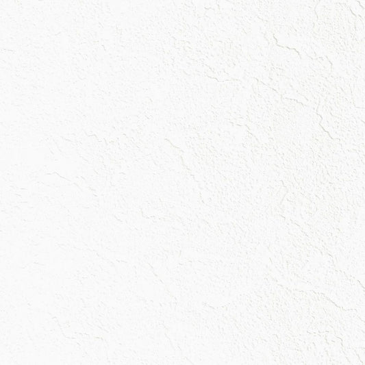 LL-6545 LW-675 壁紙 のり付き クロス / リリカラ / ライト ホワイトの無地【10m+施工道具セット】