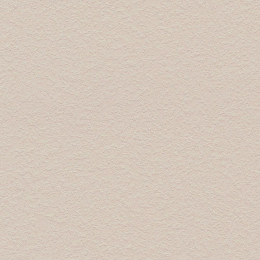 LL-6560 LW-680 壁紙 のり付き クロス / リリカラ / ライト ベージュの無地【10mパック】