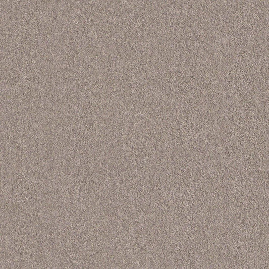 LL-6565 LW-685 壁紙 のり付き クロス / リリカラ / ライト ブラウンの無地【30m+施工道具セット】