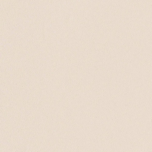 LL-6629 LW-415 壁紙 のり付き クロス / リリカラ / ライト ペットにおすすめ【15m+施工道具セット】