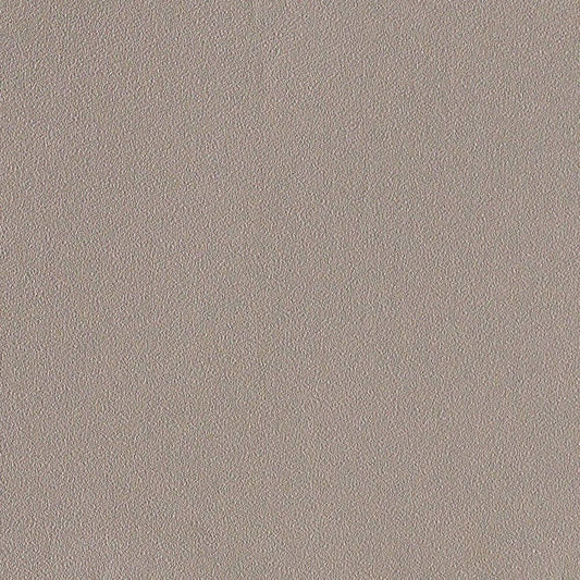 LL-6634 LW-417 壁紙 のりなし クロス / リリカラ / ライト ペットにおすすめ【50m巻】