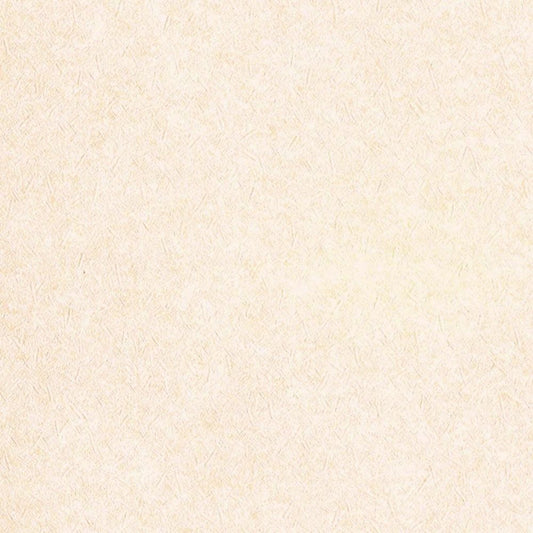 LL-6678 LW-466 壁紙 のりなし クロス / リリカラ / ライト ペットにおすすめ【50m巻】