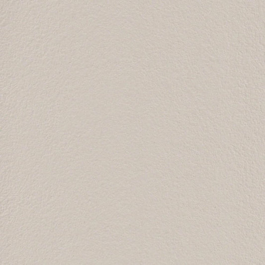 LL-6699 LV-2541 壁紙 のりなし クロス / リリカラ / ライト 消臭タイプ【サンプル】