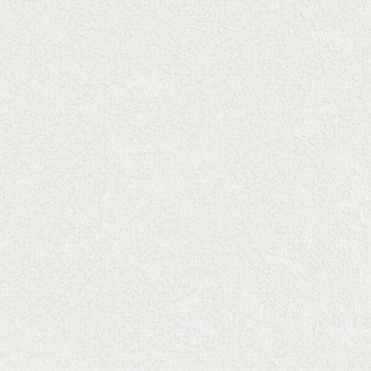 LL-6884 LV-2651 壁紙 のり付き クロス / リリカラ / ライト 菌の抑制におすすめ【15mパック】