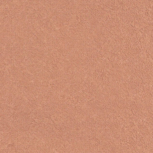 LL-6886 俯瞰画像