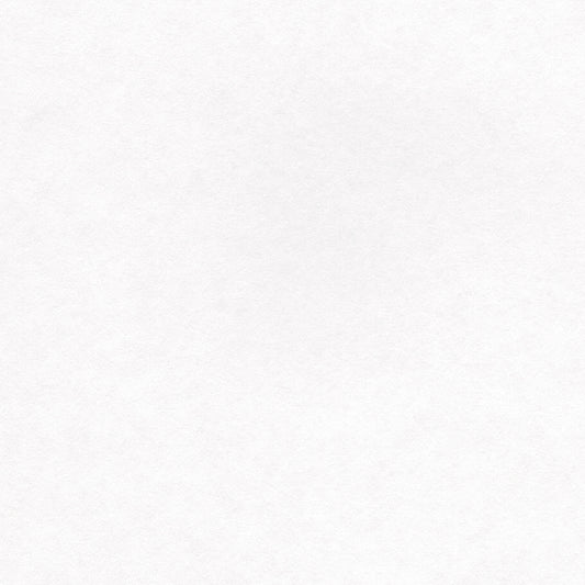 LLT-6068 LW-835 壁紙 のりなし クロス / リリカラ / ライト 塗装用壁紙【幅100cm×25m巻】