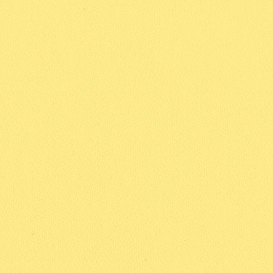 生のり付き【10m+施工道具セット】国産壁紙 クロス / リリカラ / イエロー LV-2020