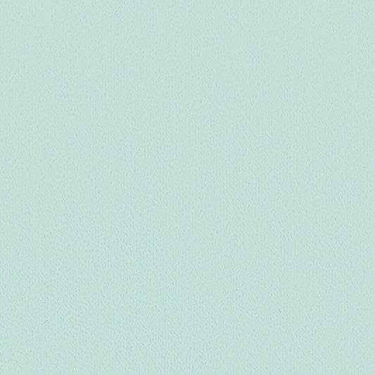 生のり付き【15m+施工道具セット】国産壁紙 クロス / リリカラ / 水色 LV-2031
