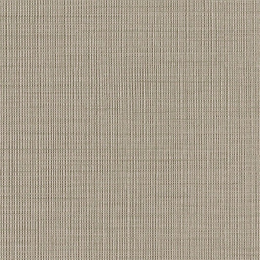 生のり付き【1m単位切り売り】国産壁紙 クロス / リリカラ / グレー LV-2223