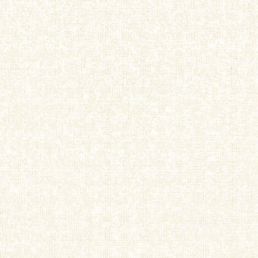 生のり付き【15m+施工道具セット】国産壁紙 クロス / リリカラ / 天井におすすめ LV-2250