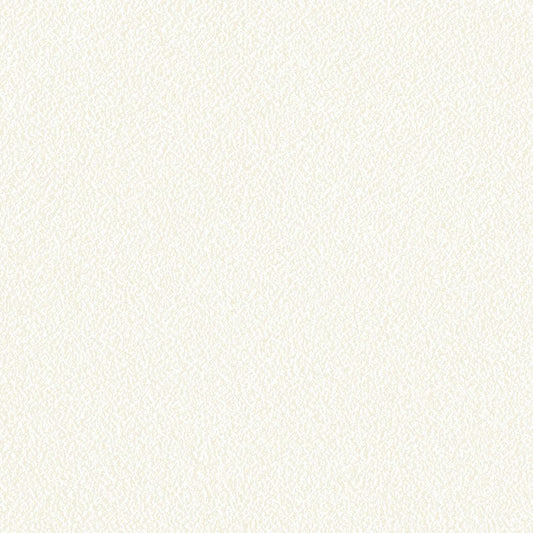 のりなし【50m巻】国産壁紙 クロス / リリカラ / 天井におすすめ LV-2258