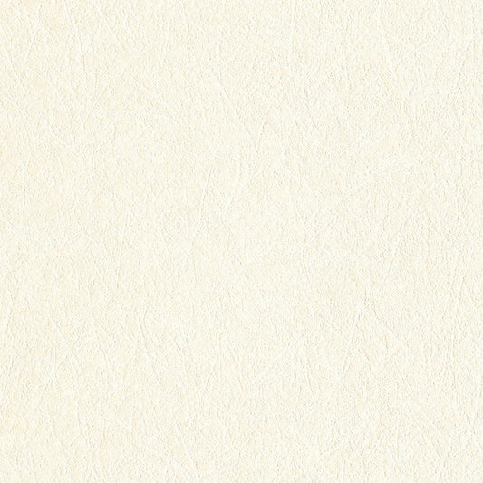 生のり付き【30m+施工道具セット】国産壁紙 クロス / リリカラ / 和室におすすめ LV-2439