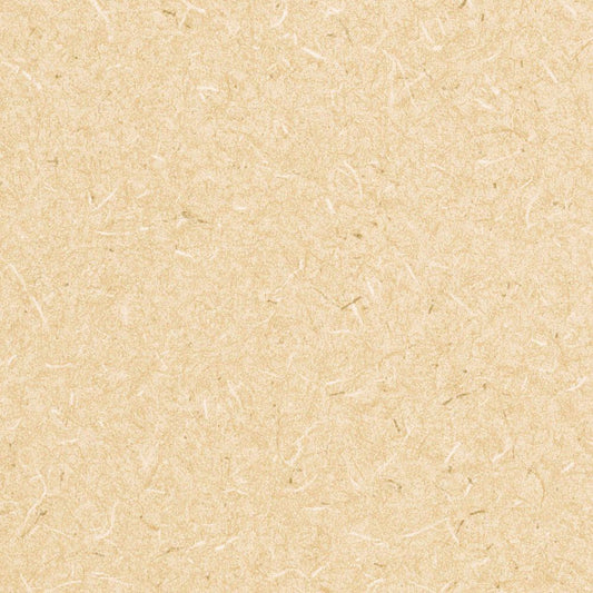 生のり付き【15m+施工道具セット】国産壁紙 クロス / リリカラ / 和室におすすめ LV-2443