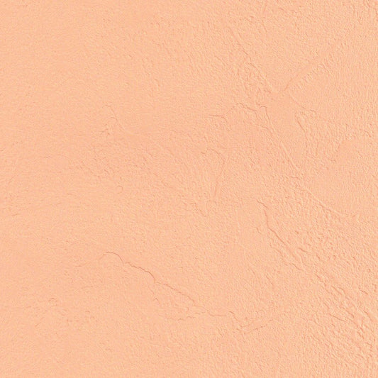 生のり付き【30m+施工道具セット】国産壁紙 クロス / リリカラ / 傷防止におすすめ LV-2488