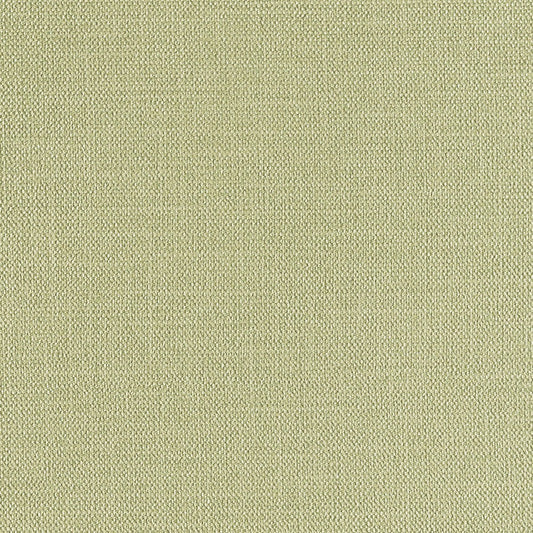 生のり付き【10m+施工道具セット】国産壁紙 クロス / リリカラ / 消臭タイプ LV-2567