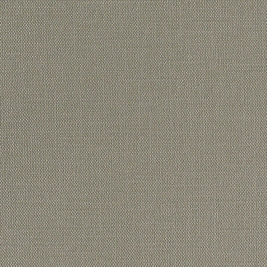 生のり付き【15m+施工道具セット】国産壁紙 クロス / リリカラ / 消臭タイプ LV-2570