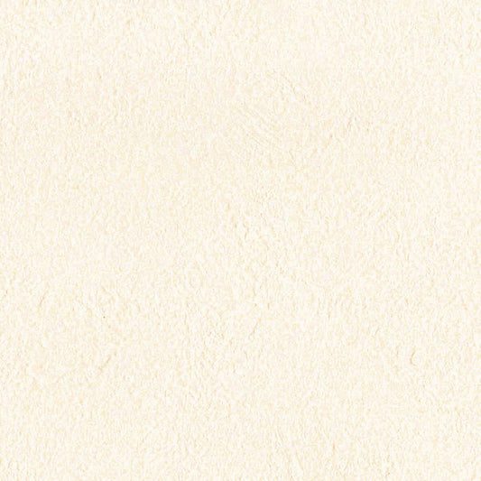 生のり付き【30mパック】国産壁紙 クロス / リリカラ / 消臭タイプ LV-2613