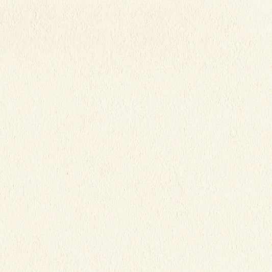 生のり付き【15m+施工道具セット】国産壁紙 クロス / リリカラ / 消臭タイプ LV-2618