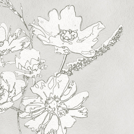 【サンプル】はがせる壁紙 のりなしタイプ Mon Sucrier 花柄 ブロッサムフレーバー NMS-BF02 ミラージュホワイト